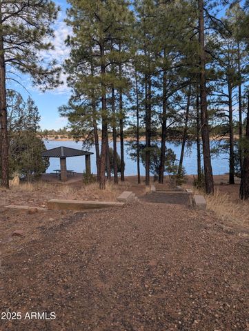 3361 W HANSEN --, Show Low, AZ 85901