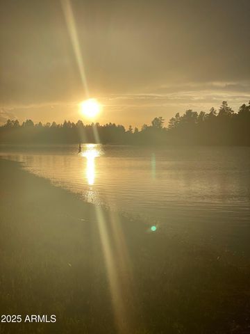 3361 W HANSEN --, Show Low, AZ 85901