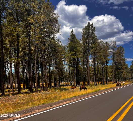 3361 W HANSEN --, Show Low, AZ 85901