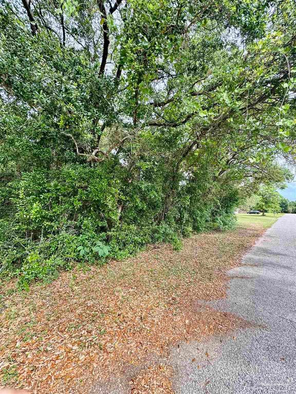 100 BLK Newman Ave, Pensacola, FL 32507