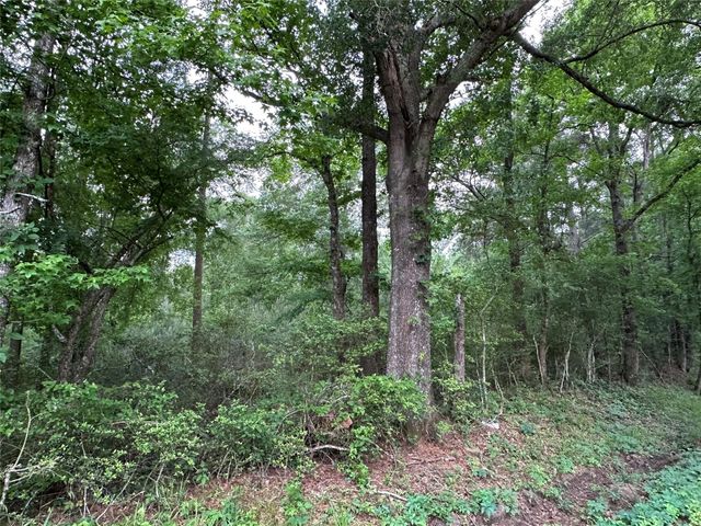 0 Bailey Grove Road, Montgomery, TX 77356