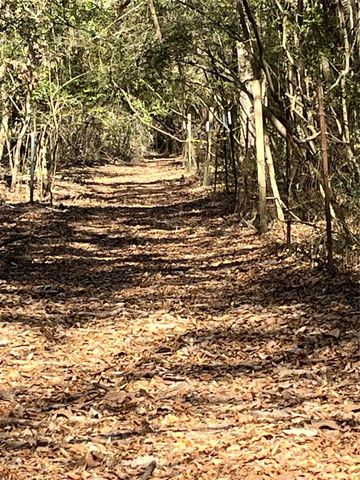 0 Bailey Grove Road, Montgomery, TX 77356
