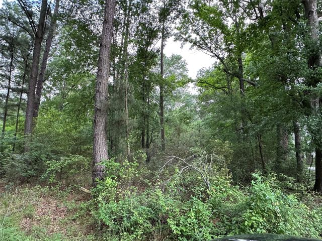 0 Bailey Grove Road, Montgomery, TX 77356