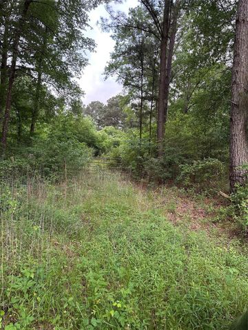 0 Bailey Grove Road, Montgomery, TX 77356