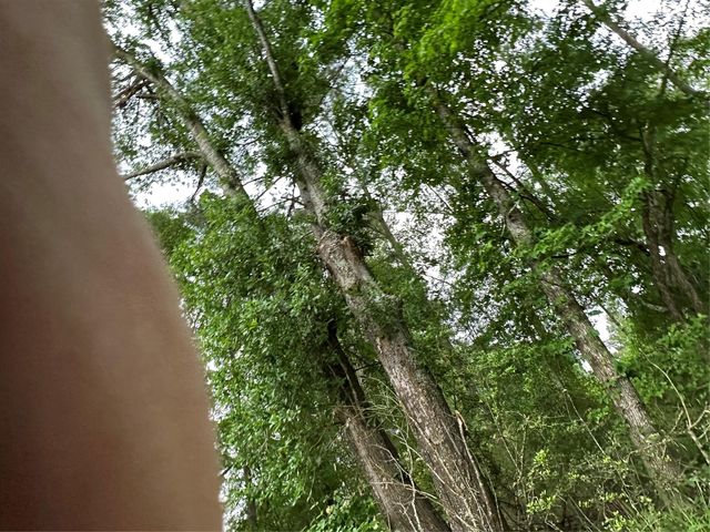 0 Bailey Grove Road, Montgomery, TX 77356