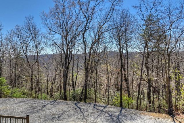 1073 Old Burnt Mountain Road, Ellijay, GA 30536
