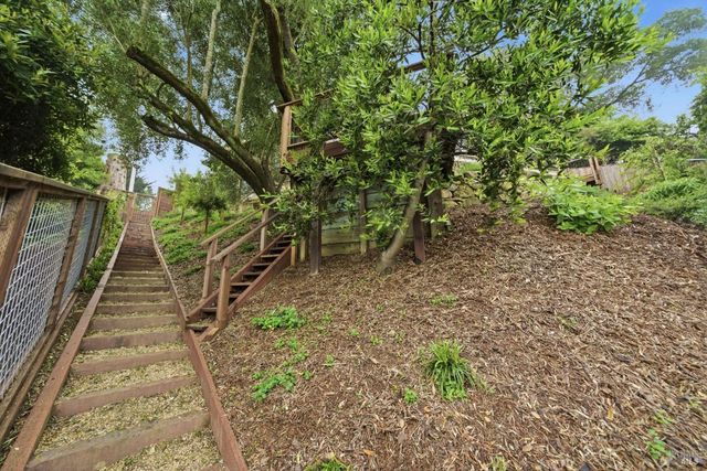 439 Molino Ave, Mill Valley, CA 94941