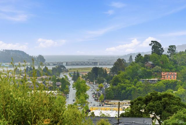 439 Molino Ave, Mill Valley, CA 94941