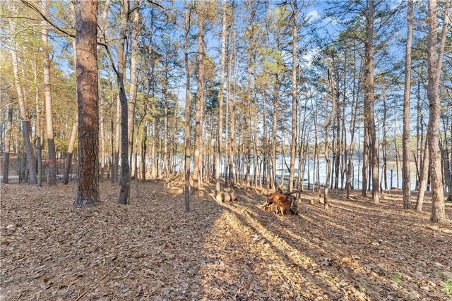 287 Spring Branch Circle, Toccoa, GA 30577