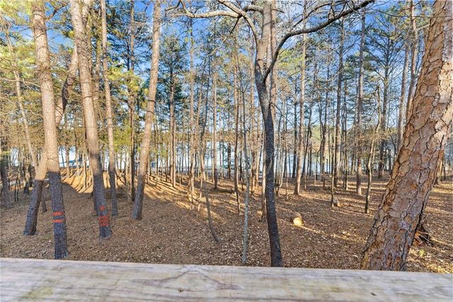 287 Spring Branch Circle, Toccoa, GA 30577