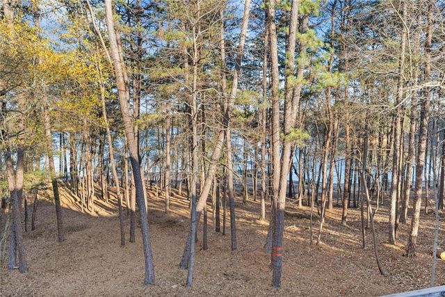 287 Spring Branch Circle, Toccoa, GA 30577