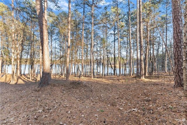 287 Spring Branch Circle, Toccoa, GA 30577