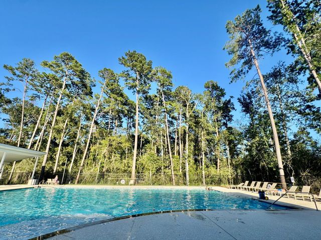 42841 Terraza Boulevard, Magnolia, TX 77354
