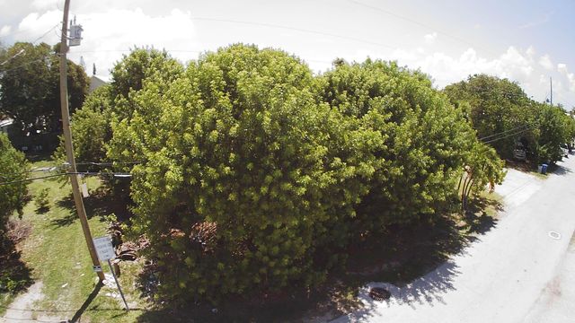 27th Street Ocean, Marathon, FL 33050