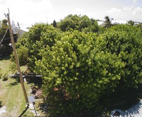 27th Street Ocean, Marathon, FL 33050