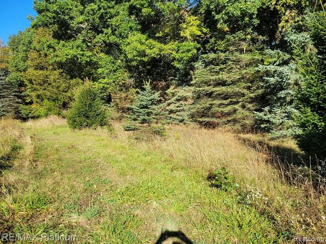 Parc B Tipsico Lake Road, Hartland, MI 48353