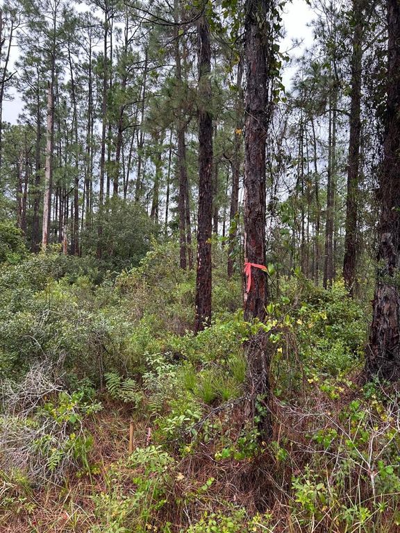 2811 53RD STREET W, Lehigh Acres, FL 33971