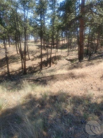 Lot 60 Wild Turkey Ridge Rd, Columbus, MT 59019