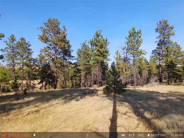 Lot 60 Wild Turkey Ridge Rd, Columbus, MT 59019