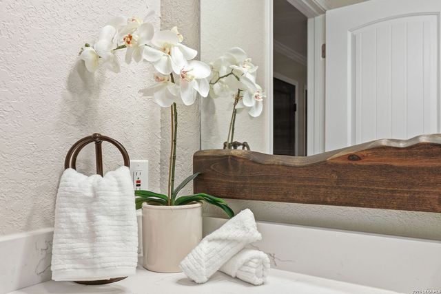 12206 Ecksminster, San Antonio, TX 78216