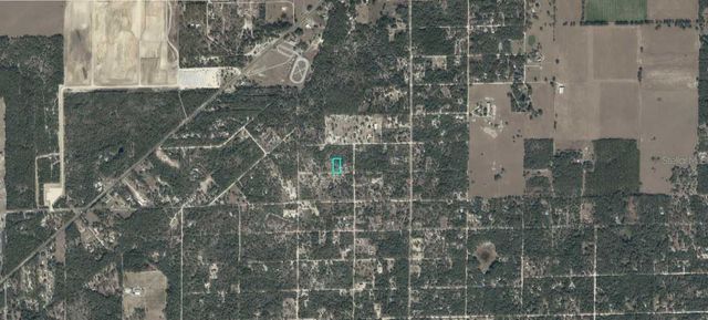 NE 91ST PLACE, Bronson, FL 32621