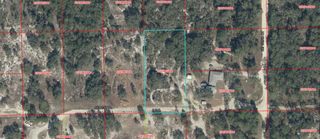 NE 91ST PLACE, Bronson, FL 32621