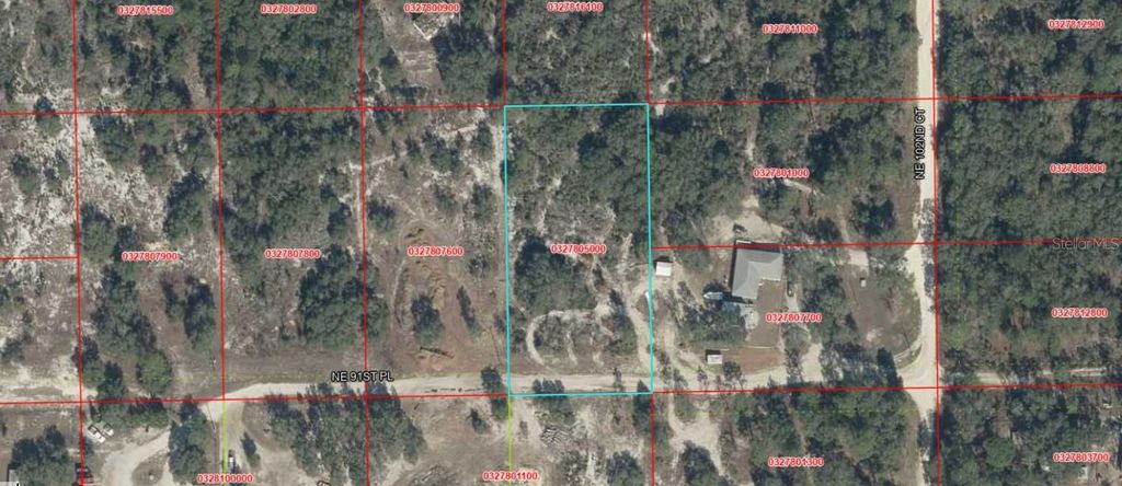 NE 91ST PLACE, Bronson, FL 32621