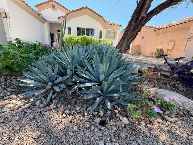 4809 E PEAK VIEW Road, Cave Creek, AZ 85331