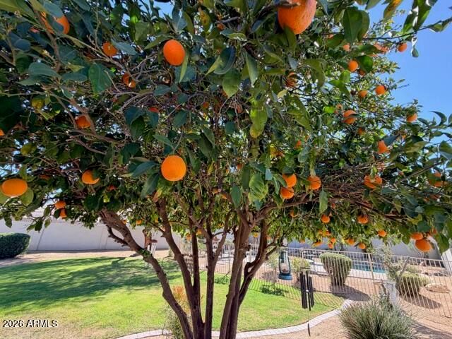 4809 E PEAK VIEW Road, Cave Creek, AZ 85331