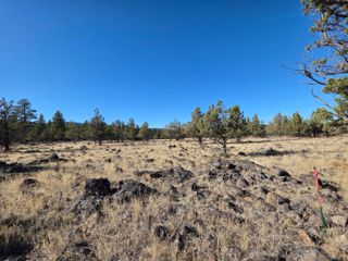 0 Cedar Trail 4008-01700-0900, Klamath Falls, OR 97603