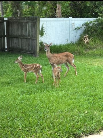 60 PICKERING DRIVE, Palm Coast, FL 32164