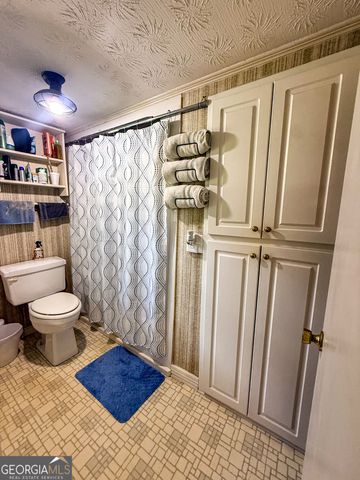 4850 New Liberty Road, Clarkesville, GA 30523
