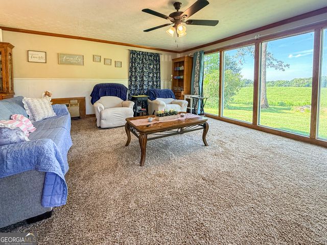 4850 New Liberty Road, Clarkesville, GA 30523