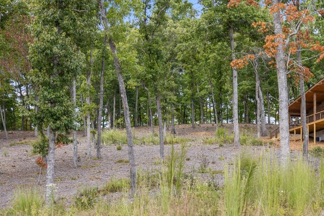 Lot 88 Split Creek Road, Morganton, GA 30560