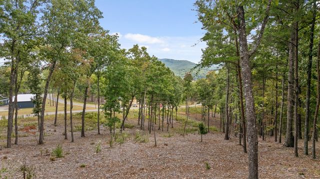 Lot 88 Split Creek Road, Morganton, GA 30560