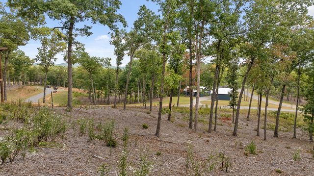 Lot 88 Split Creek Road, Morganton, GA 30560