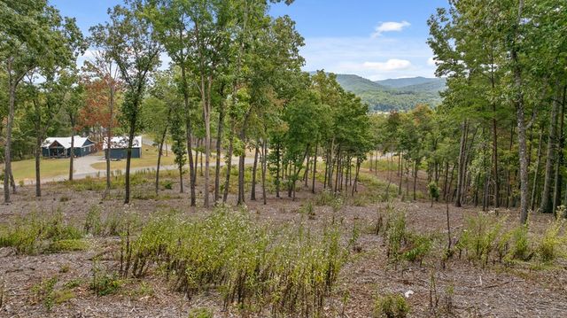 Lot 88 Split Creek Road, Morganton, GA 30560