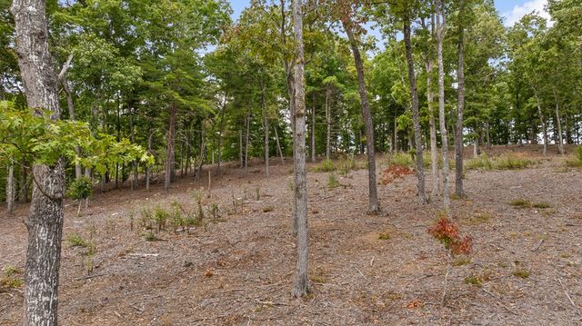 Lot 88 Split Creek Road, Morganton, GA 30560