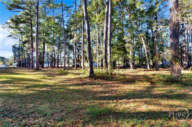 176 E 7th Street, Meldrim, GA 31318