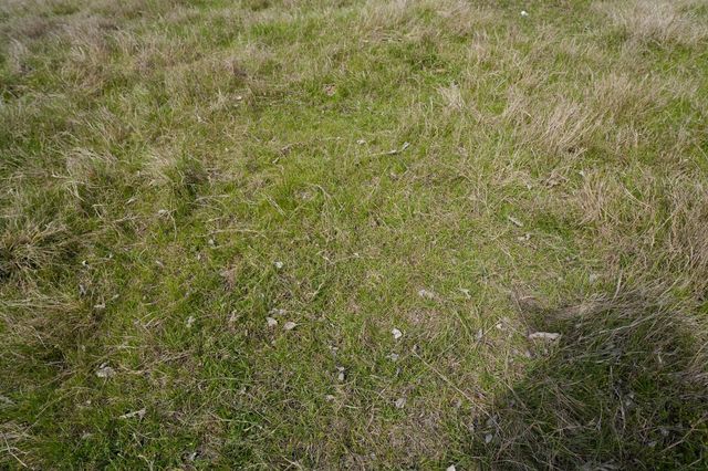 1011 Fm 956, Schulenburg, TX 78956