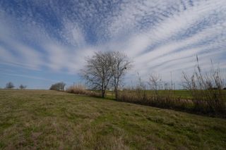 1011 Fm 956, Schulenburg, TX 78956