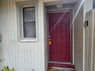 920 OTTO VILLA PLACE, Tampa, FL 33612