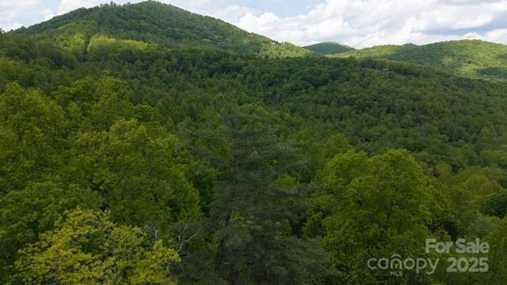 00 Cove Gap Road Offering #2, Moravian Falls, NC 28654