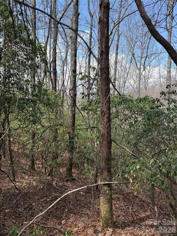 00 Line Runner Ridge Road, Rosman, NC 28722