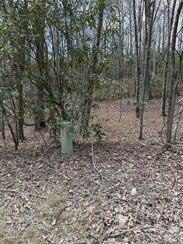 00 Line Runner Ridge Road, Rosman, NC 28722