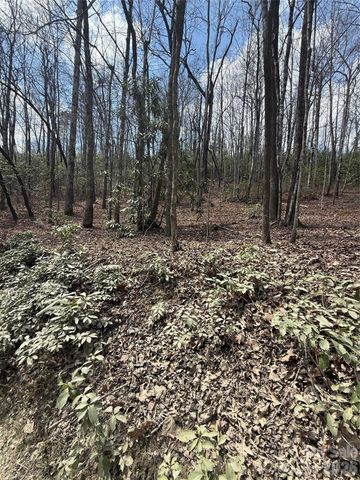 00 Line Runner Ridge Road, Rosman, NC 28722