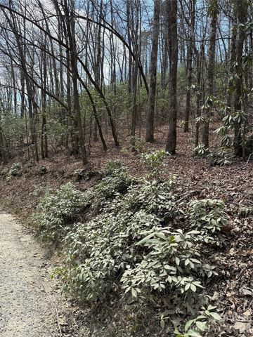 00 Line Runner Ridge Road, Rosman, NC 28722