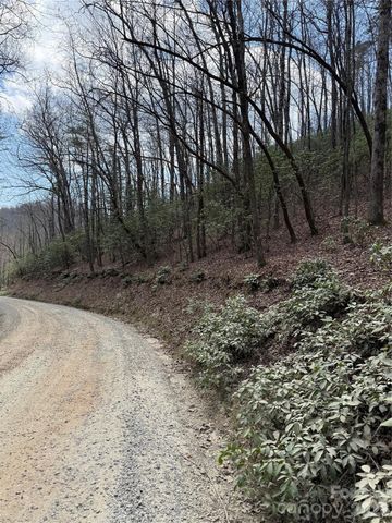 00 Line Runner Ridge Road, Rosman, NC 28722