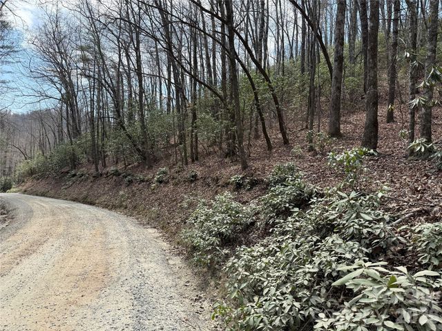 00 Line Runner Ridge Road, Rosman, NC 28722