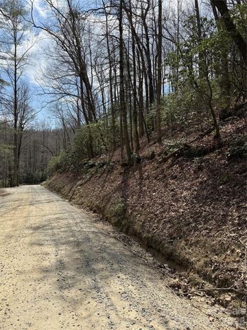 00 Line Runner Ridge Road, Rosman, NC 28722